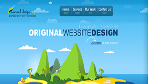 Web Design,Portal design,Website Design and Web Development, New Web Software Group