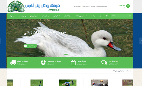 طراحی فروشگاه اینترنتی پرندگان زینتی ایران