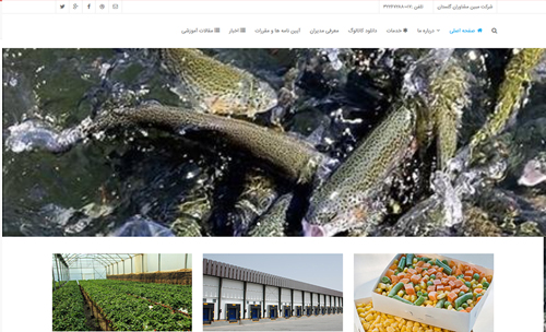 طراحی وب سایت شرکت مبین مشاوران گلستان